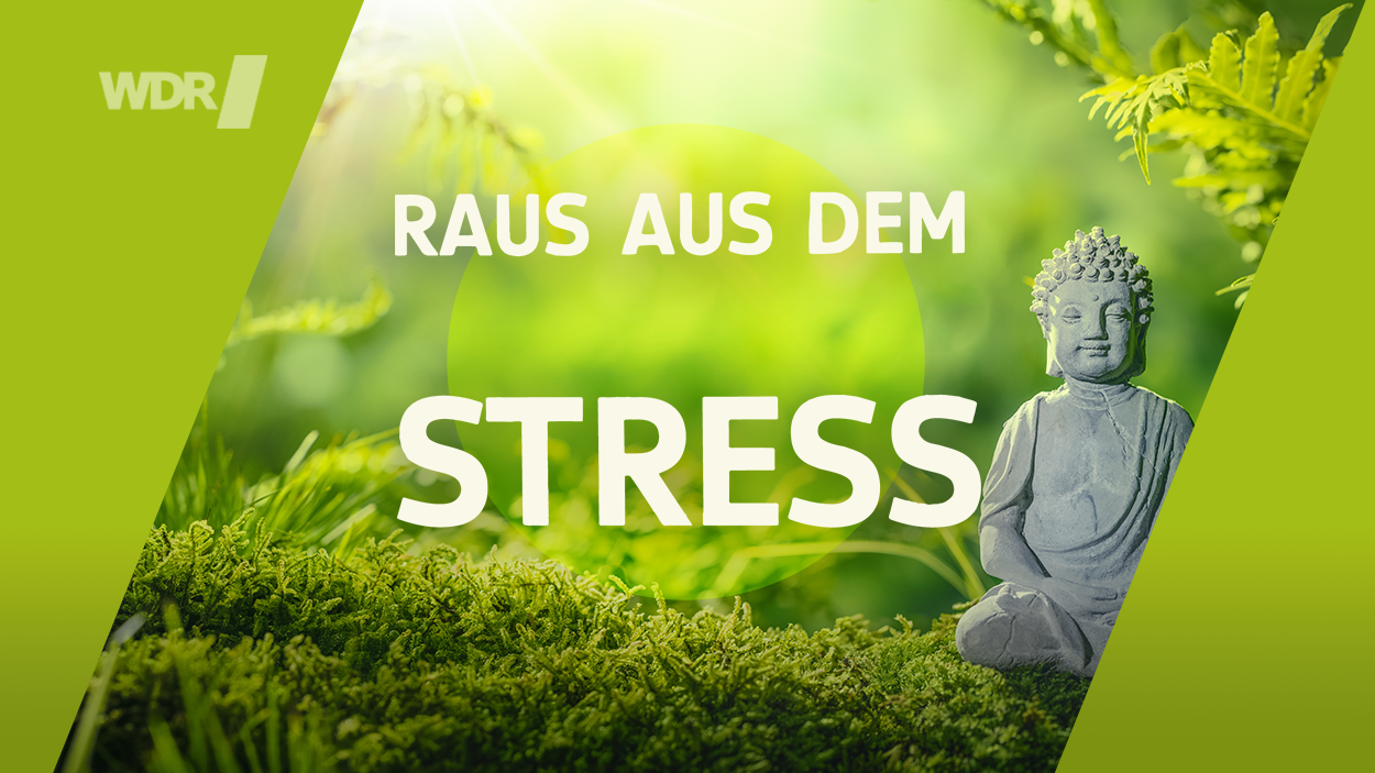 Raus aus dem Stresse