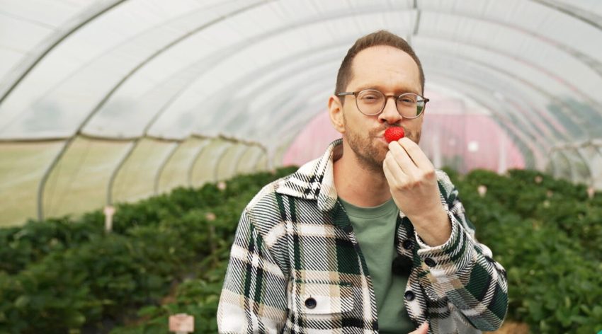 solisTV_Ökochecker_Erdbeeren